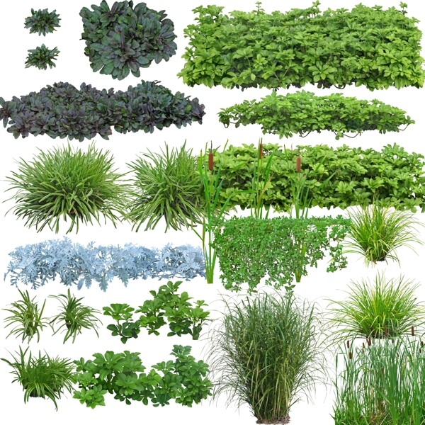 花草綠籬高清分層素材圖片