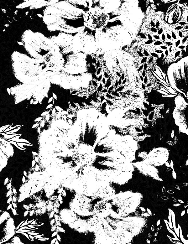 花紋圖片