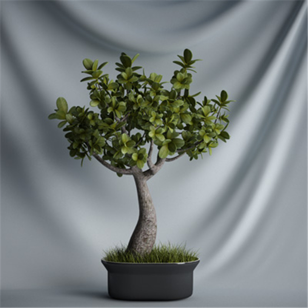 植物室內裝飾3D模型素材