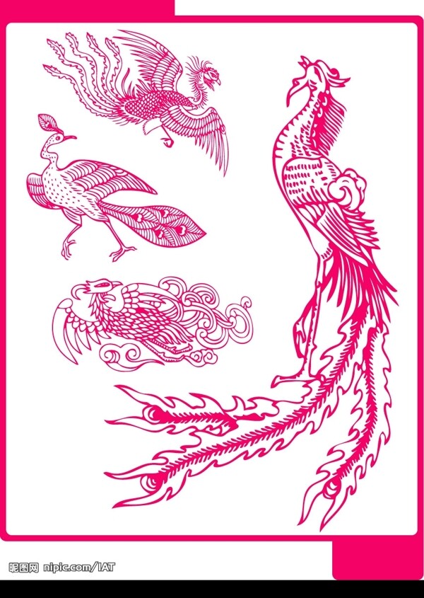 鳳紋圖片