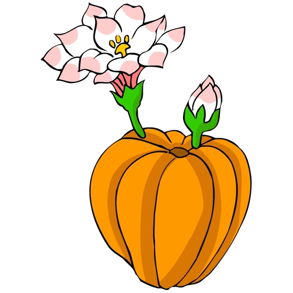 花卉古典插畫(huà)