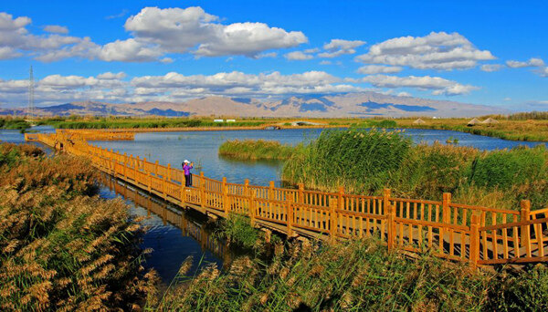 张掖国家湿地公园图片