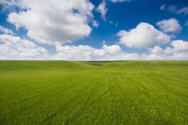 绿色草原风景图片