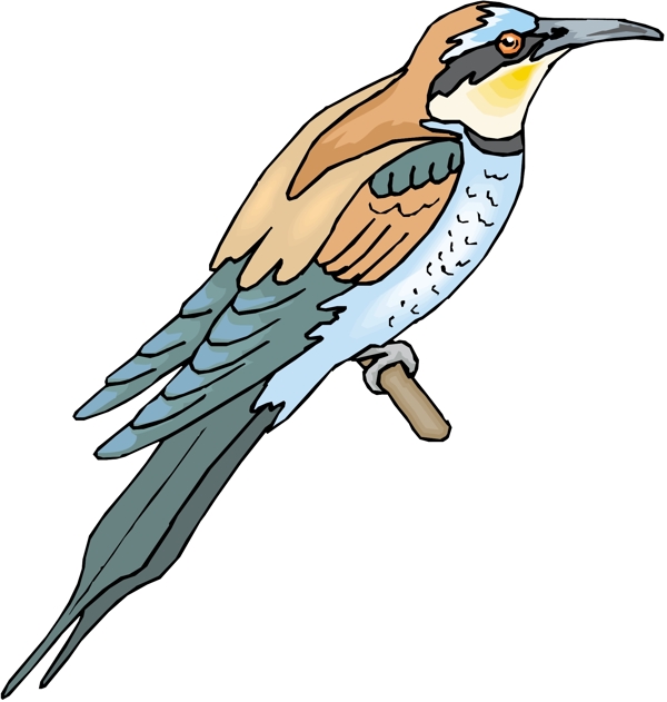 各種鳥類鳥動物矢量素材EPS格式0422