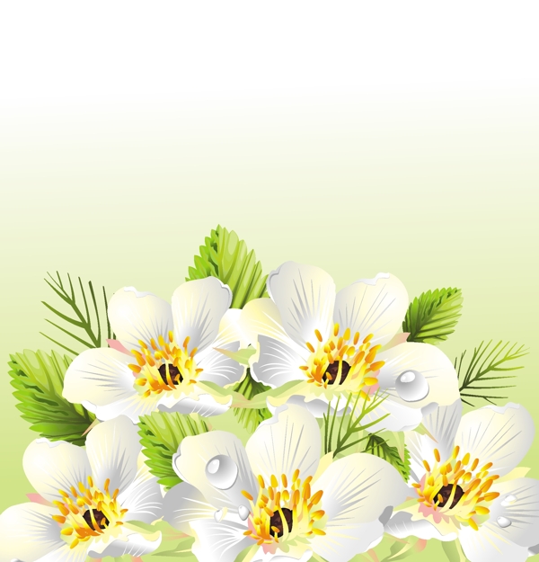 花朵邊框背景矢量圖下載