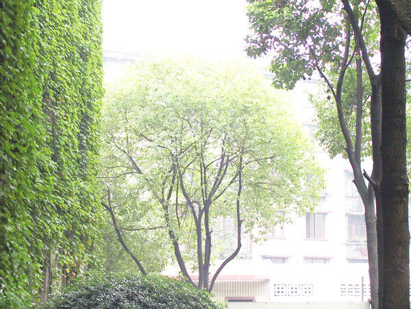 歐式裝修設(shè)計(jì)