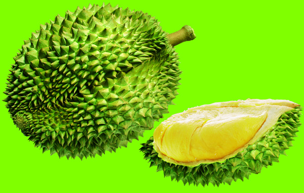 榴蓮圖片