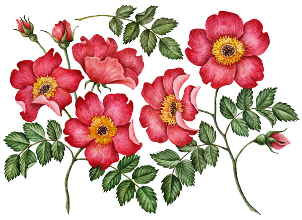 花
