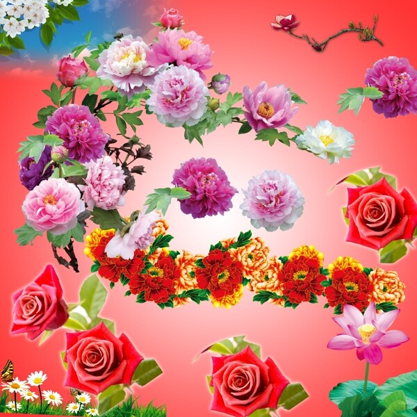 花素材psd源文件