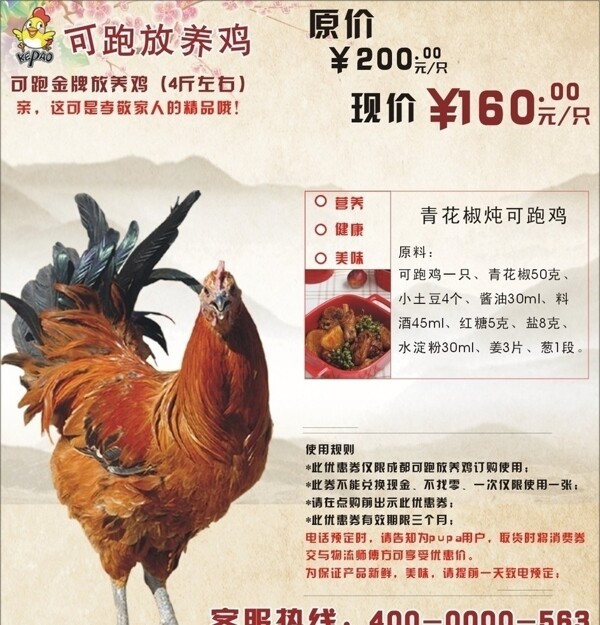 雞宣傳單圖片