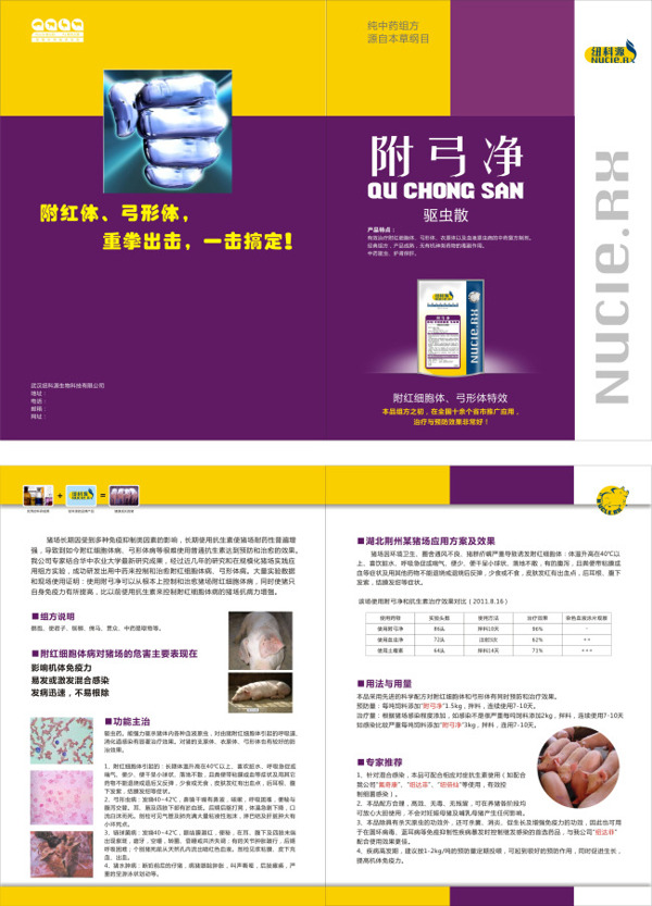 藥品宣傳單
