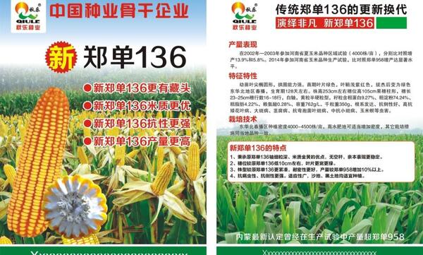 種子傳單