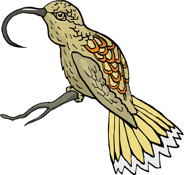 各種鳥(niǎo)類(lèi)鳥(niǎo)動(dòng)物矢量素材EPS格式1463