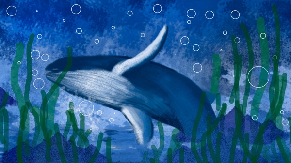深海海底鲸落