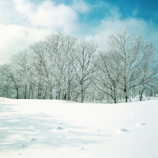 冬天雪景雪景大雪