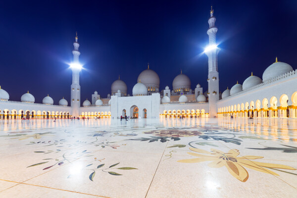 扎耶德大清真寺夜景图片