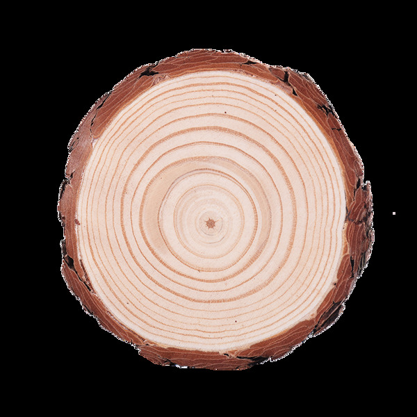 树饼木桩圆木片