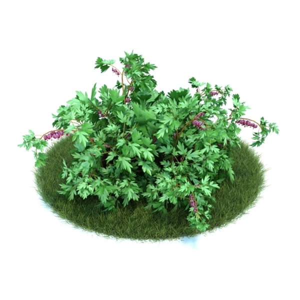 綠色植物模型