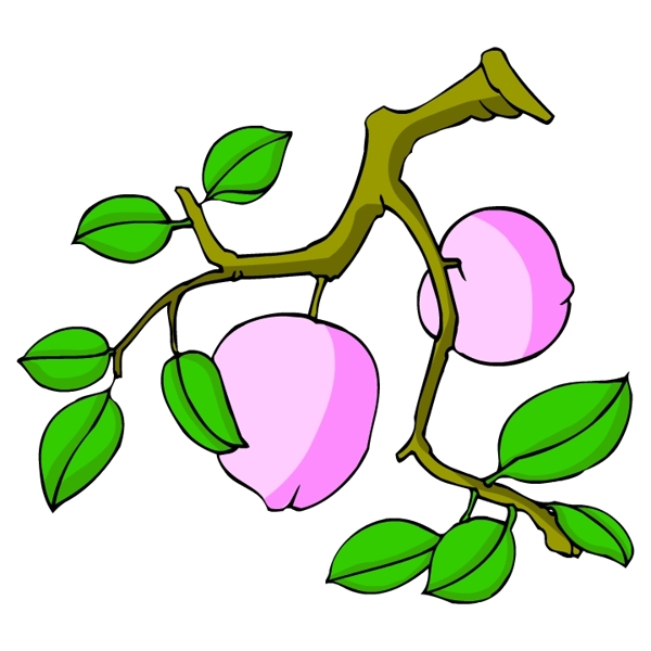 花卉古典插畫
