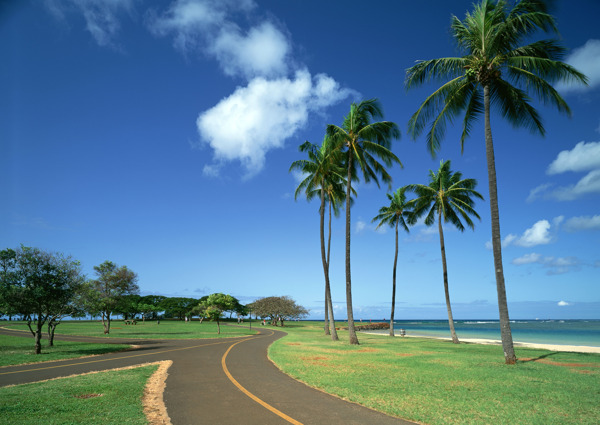 夏威夷度假图片