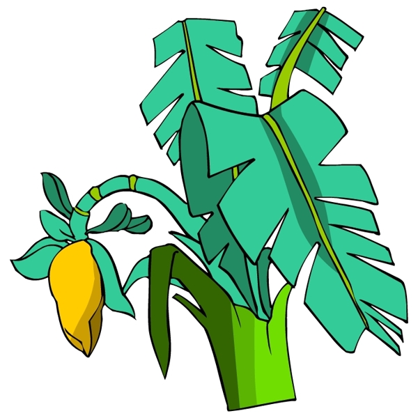 樹木古典插畫