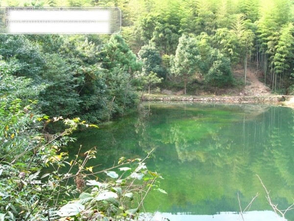 湖水水中倒影綠色植物九龍瀑一景