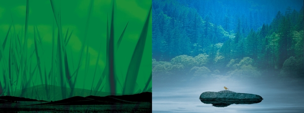 生态湖林木图片