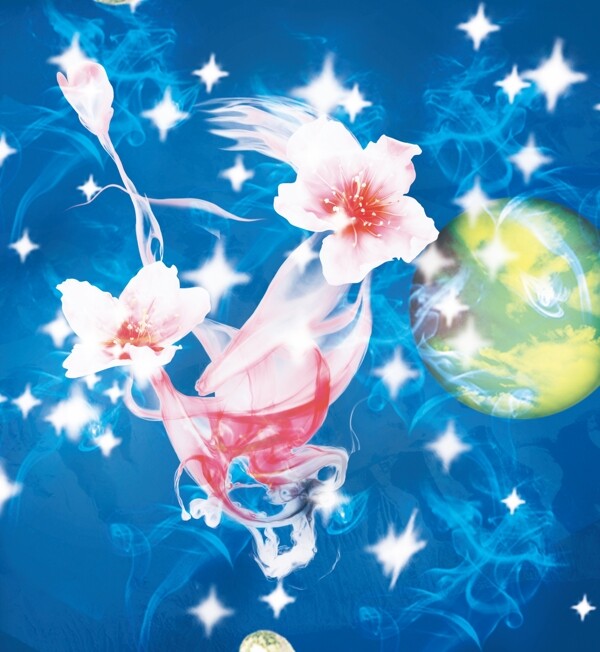 星空花