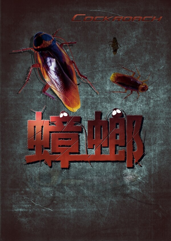 蟑螂海报