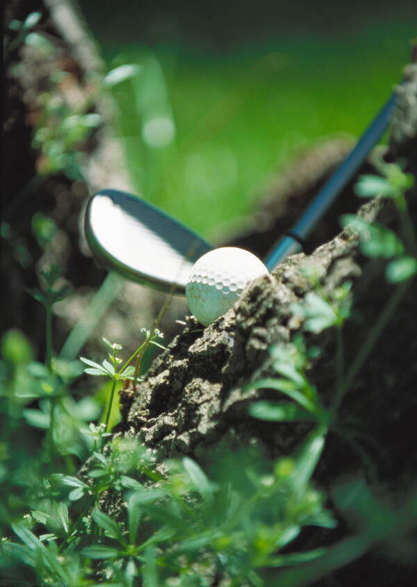 泥土里的高尔夫球用品图片