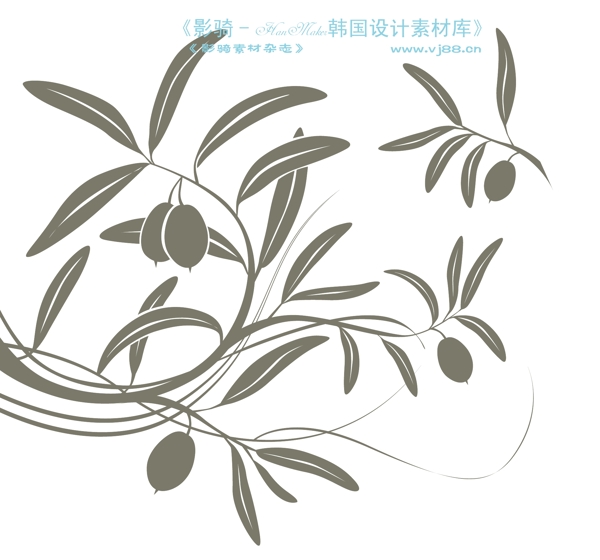 精品花紋圖藤韓國花紋時尚花紋底紋矢量素材矢量圖片HanMaker韓國設(shè)計(jì)素材庫