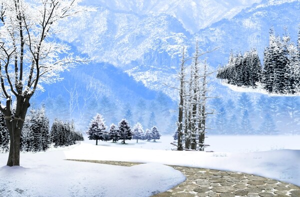 雪景