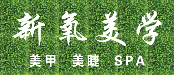 新氧美学