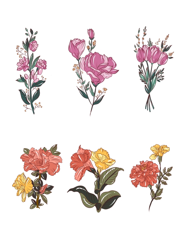 手绘植物手绘花传统花卉可商用