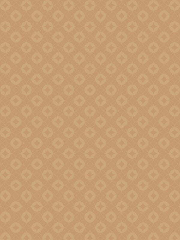 春節(jié)紋理
