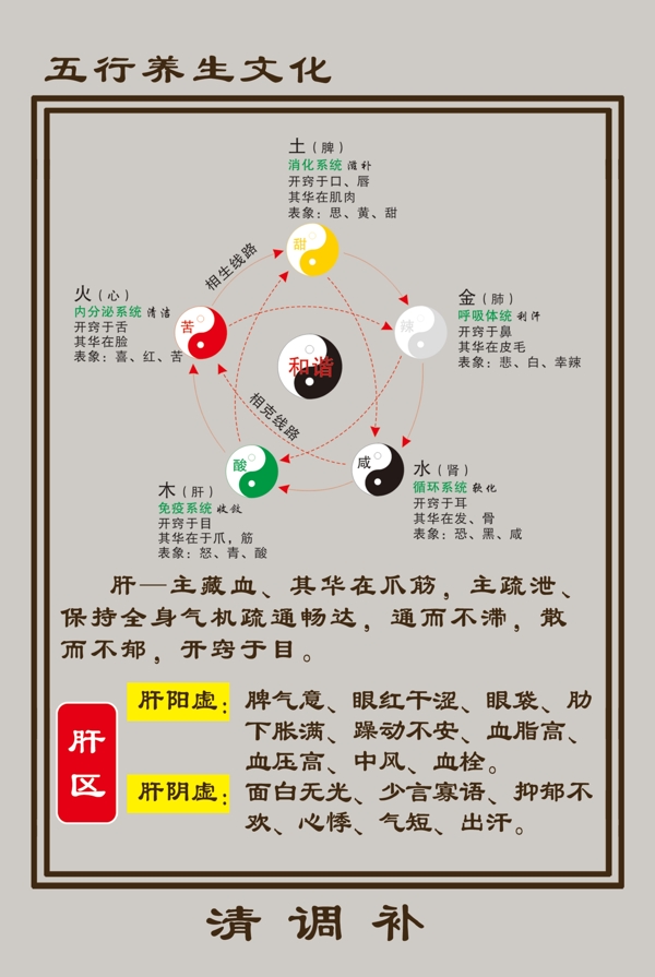 肝區(qū)