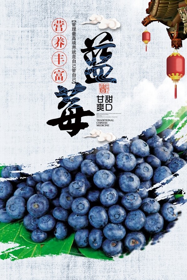蓝莓海报图片