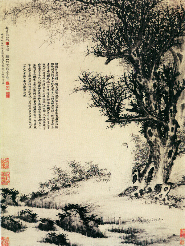 樹(shù)木