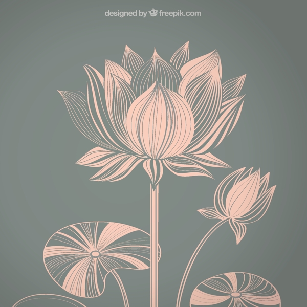 蓮花