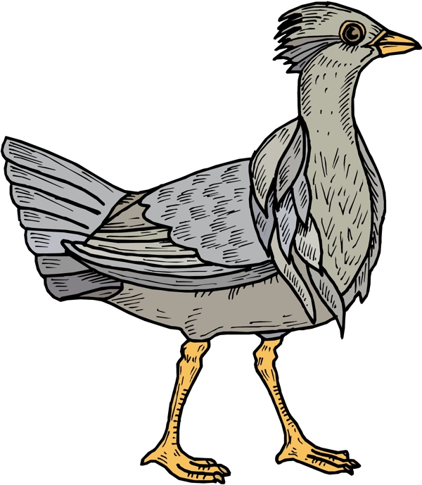 各種鳥類鳥動物矢量素材EPS格式0088