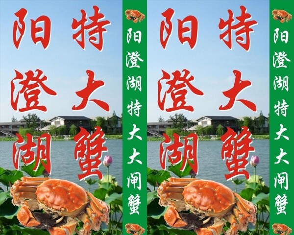 陽澄湖大閘蟹