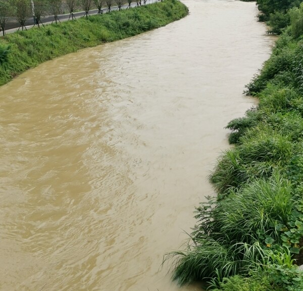 黄河水洪水