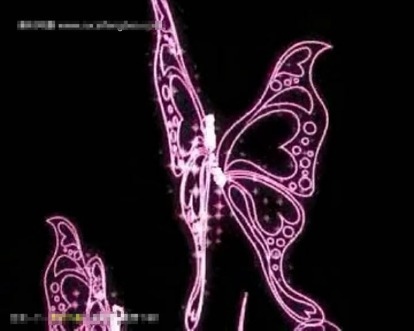 紫色蝴蝶飞舞动态视频素材