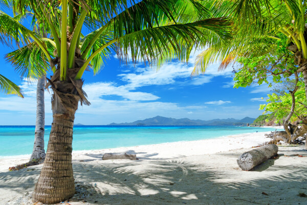 海边沙滩椰树风景图片
