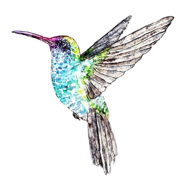 手繪翠鳥動物插畫