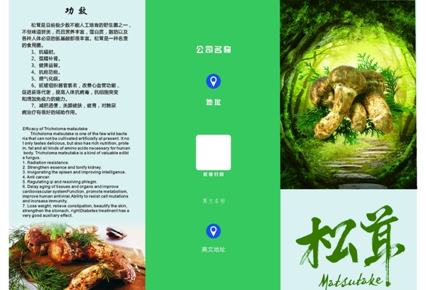 松茸三折頁(yè)