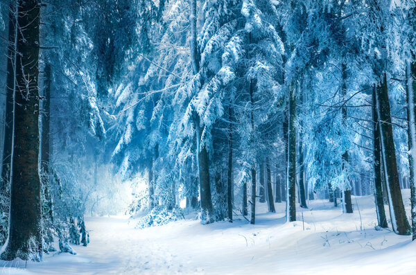 冬季夢幻雪景圖片