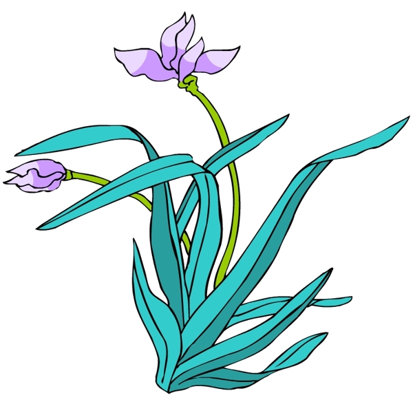 花卉古典插畫