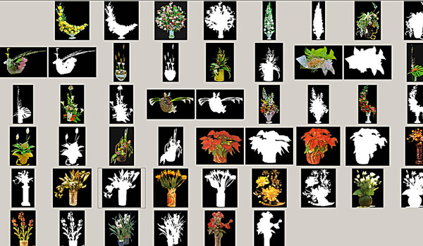 花瓶花绿色植物商业素材图片