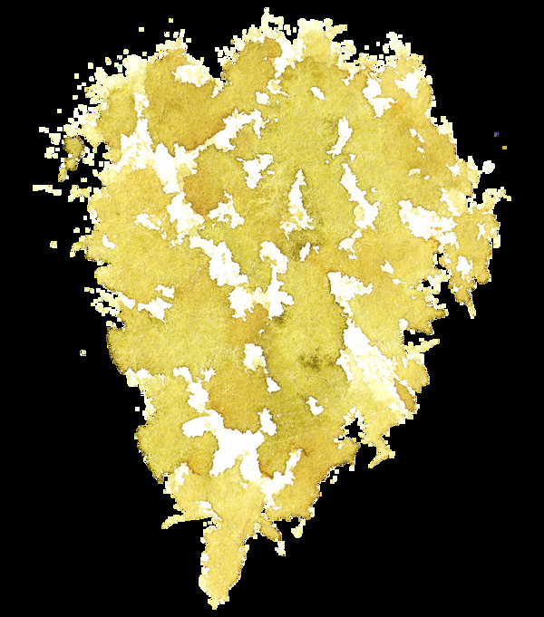 黄色菊花卡通透明素材